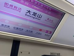 -大龙山(地铁站)