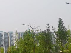 -桂溪生态公园