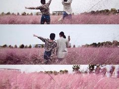 -映月湖中央公园