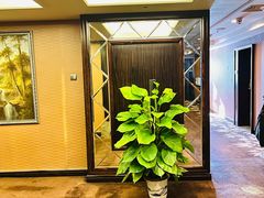 -长沙小天鹅戴斯酒店