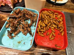 -柿子树炭烤羊腿(金台路店)