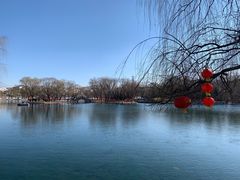 -百脉泉景区