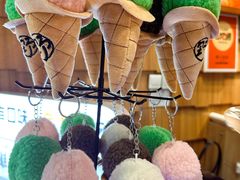-野人先生现做冰淇淋(北京顺义祥云小镇店)