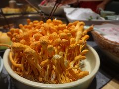 -鲜货俚鲜火锅(青果路店)