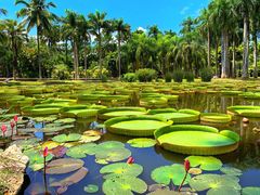 -中国科学院西双版纳热带植物园