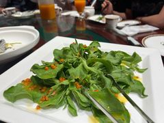 浇汁直立生菜-九十九顶毡房(阜石路店)