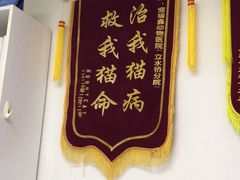 -宠福鑫动物医院(立水桥分院)