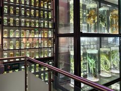-广东中医药博物馆
