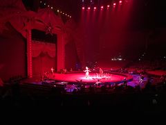 -珠海横琴长隆《卡卡虎奇遇记》