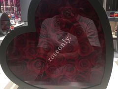 -ROSEONLY诺誓(青岛万象城店)