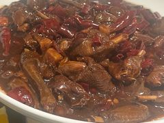 -三强鸽子(中原路店)