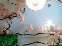 -溢仙茶(中防万宝城店)