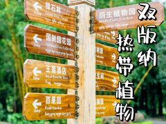 -中国科学院西双版纳热带植物园
