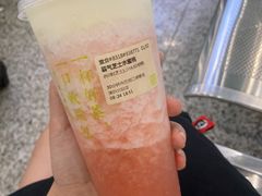 -奈雪的茶(深圳北站店)