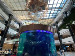 -OPEN開全日自助餐厅·西餐·海鲜(佛山希尔顿酒店)