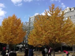 -辽宁大学(崇山校区)