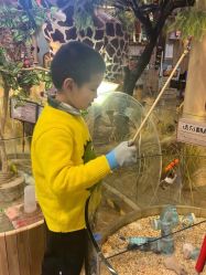 -卡通尼·Safari非洲探索乐园·生日会(金桥国际商业广场店)