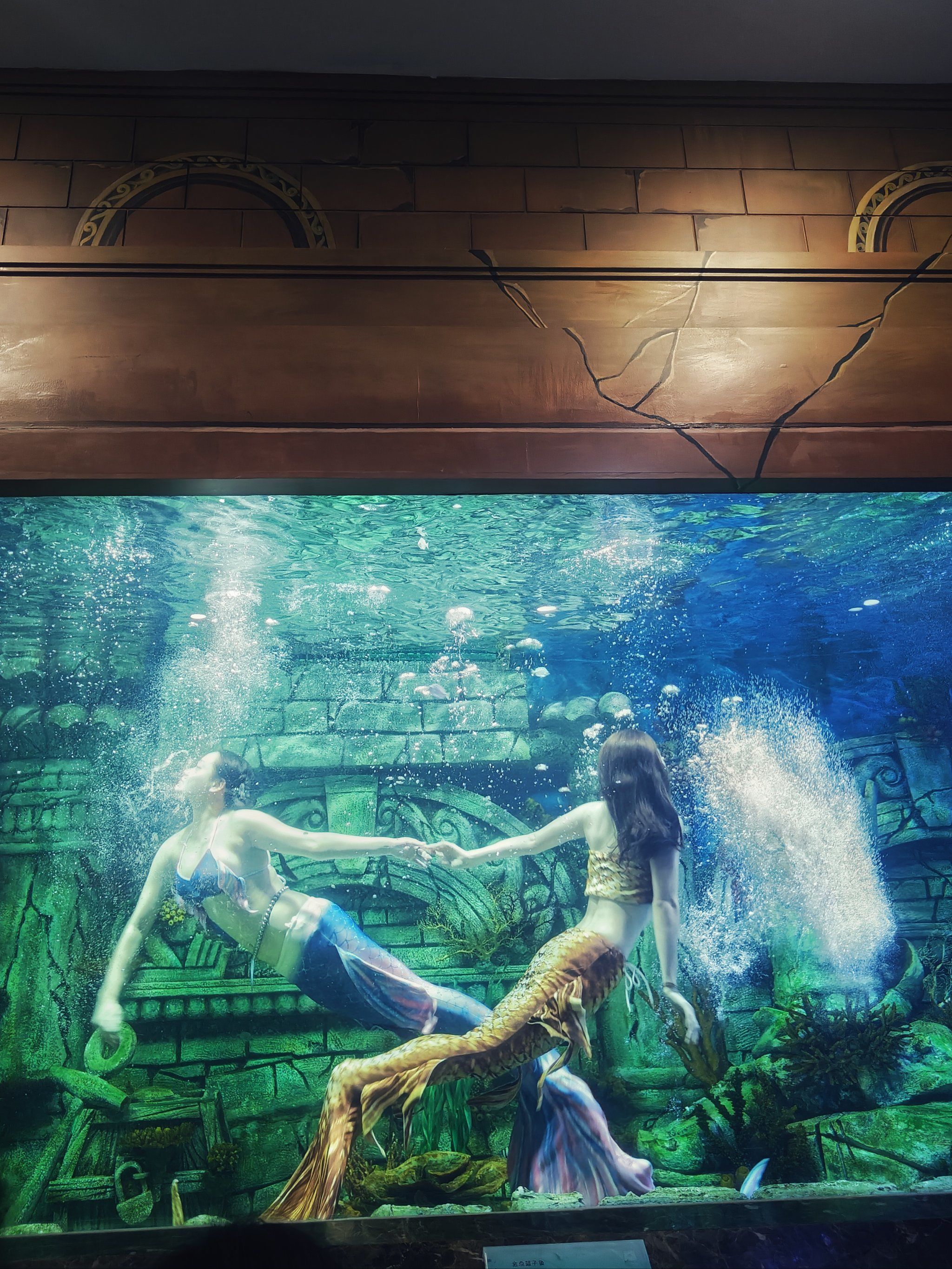 西安,这里免费的美人鱼表演!