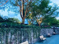 -苏州河梦清园环保主题公园