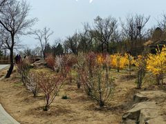 -白水寺森林公园