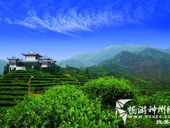 -王顺山国家森林公园