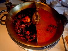 -小龙翻大江文化火锅(宽窄店)