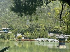 -黑龙潭公园