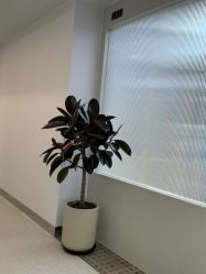 -魔型社烫染店