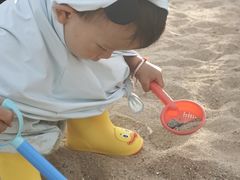 -日照海滨国家森林公园