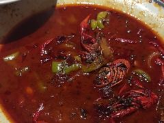 -杨氏青龙虾·羊蝎子(金盛路总店)