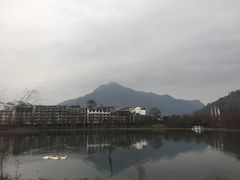 -后柳水乡