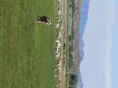 -合肥野生动物园