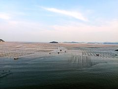 -北岐滩涂