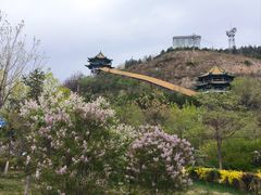 -兰山公园