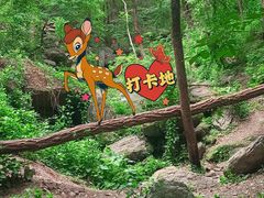 -国家植物园