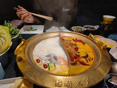 -熊喵来了火锅(太原里第2分店)