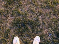 -天津意大利风情旅游区