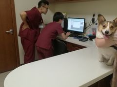 -美联众合动物医院·24h转诊中心