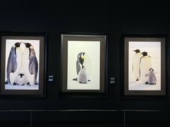 -罗红摄影艺术馆