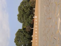 -鸿山遗址博物馆