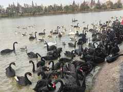 -艾溪湖湿地公园