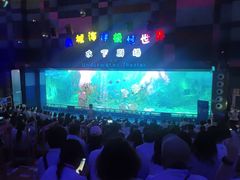 -泉城欧乐堡海洋极地世界