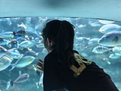 -海合安成都极地海洋公园