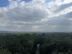 -灵谷景区