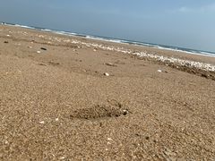 -东海岛旅游度假区