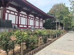 -大慈恩寺(大雁塔)