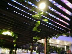 -Paulaner·德国帕拉娜自酿啤酒餐厅(海上世界店)