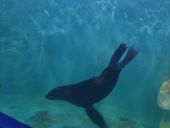 -多彩贵州城极地海洋世界