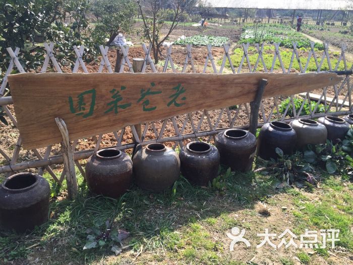 踏青农庄图片 - 第53张