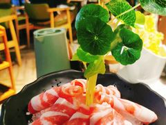 精选安格斯肥牛-狐狸爱上椰子鸡(滨江星光大道店)